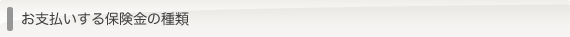 お支払いする保険金の種類