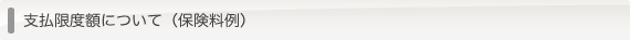 支払限度額について（保険料例）
