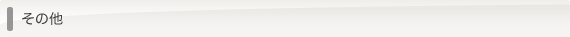 その他