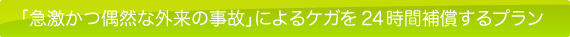 「急激かつ偶然な外来の事故」によるケガを24時間補償するプラン