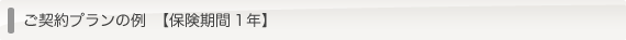 ご契約プランの例　【保険期間1年】